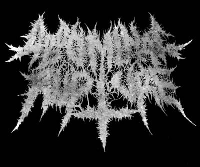 logo Abdominal Rupture